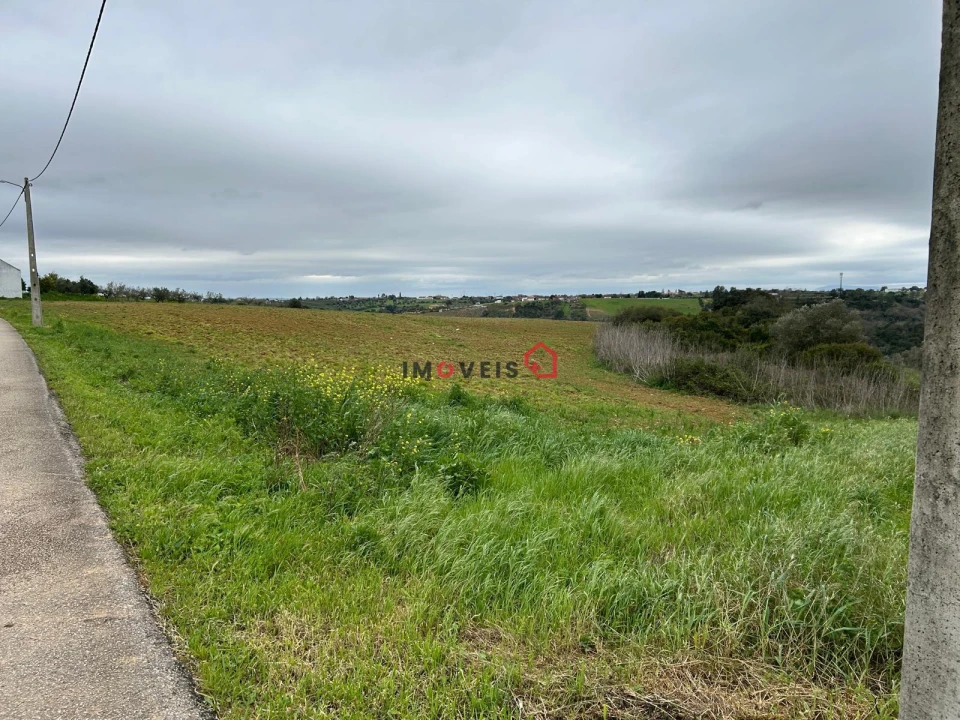 Terreno para Venda em Achete, Azoia de Baixo e Póvoa de Santarém Foto 3