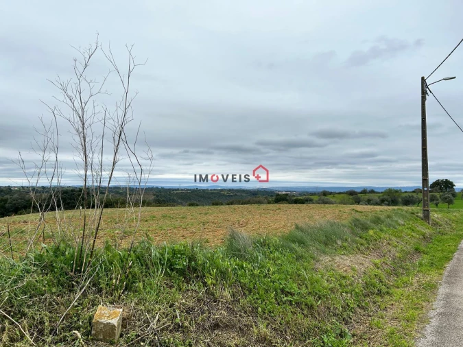 Terreno para Venda em Achete, Azoia de Baixo e Póvoa de Santarém Foto 4