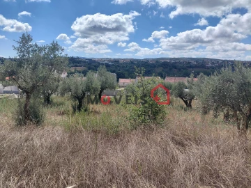 Terreno para Venda em Atouguia