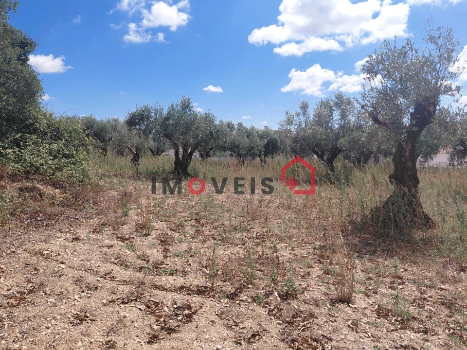 Terreno para Venda em Atouguia Foto 3