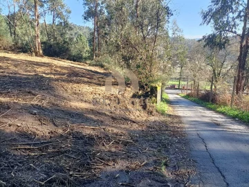 Terreno para Venda em Infantas