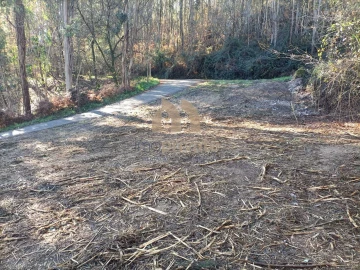 Terreno para Venda em Infantas