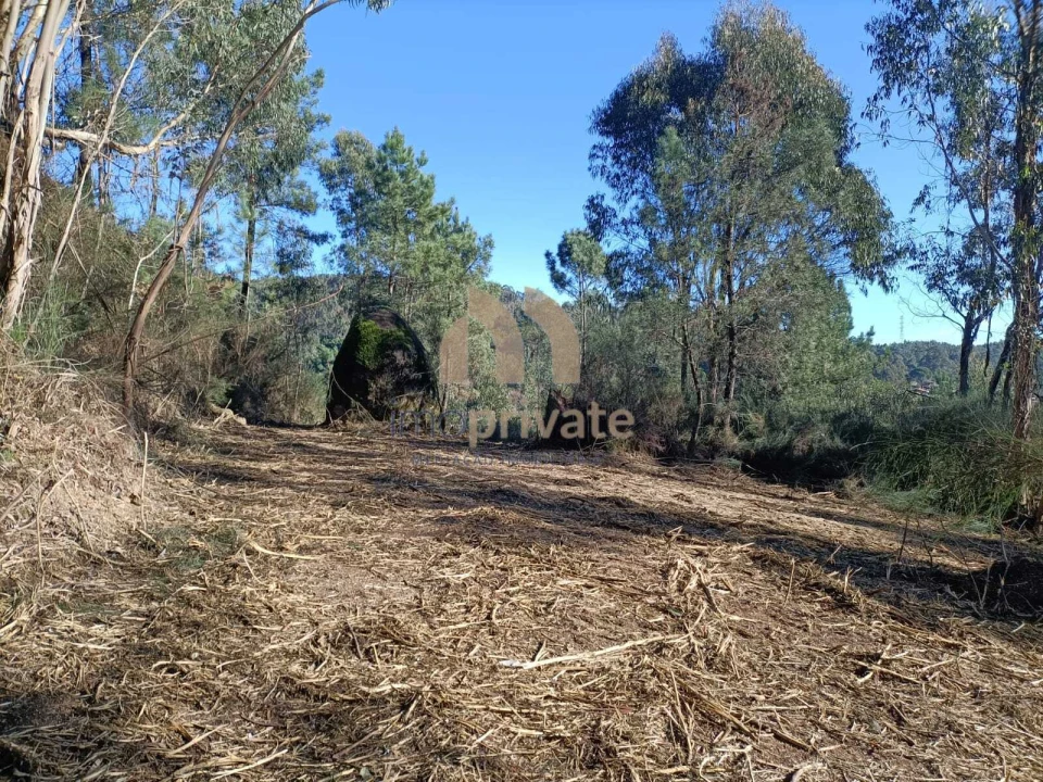 Terreno para Venda em Infantas Foto 8