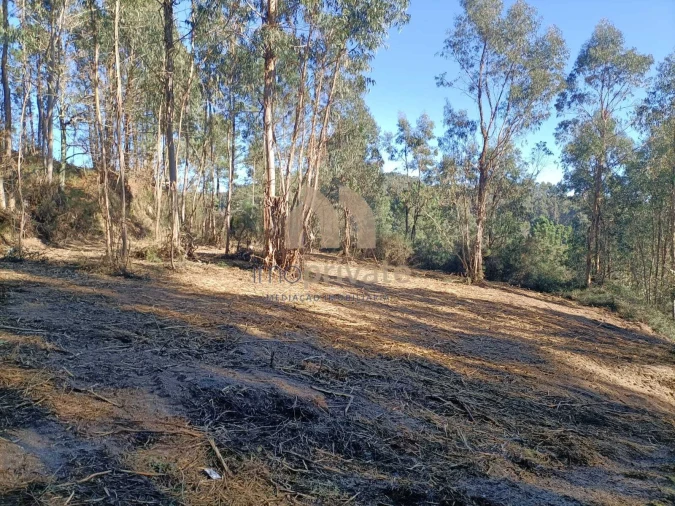 Terreno para Venda em Infantas Foto 6