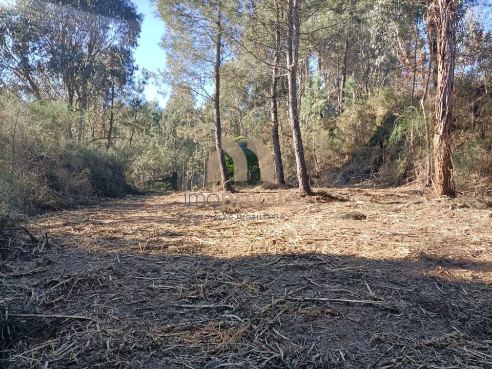 Terreno para Venda em Infantas Foto 9