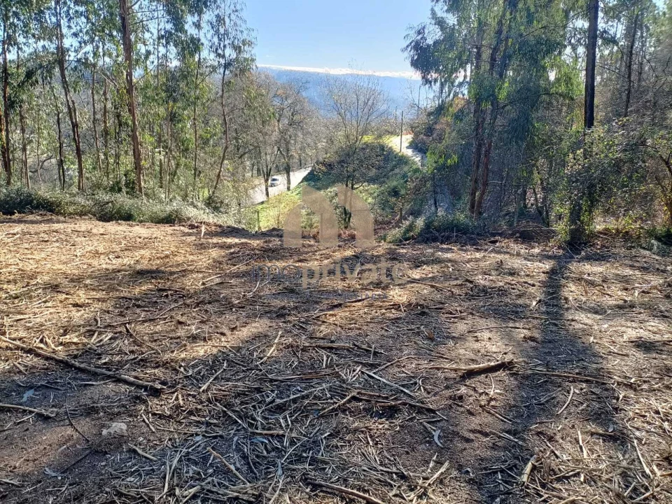 Terreno para Venda em Infantas Foto 11