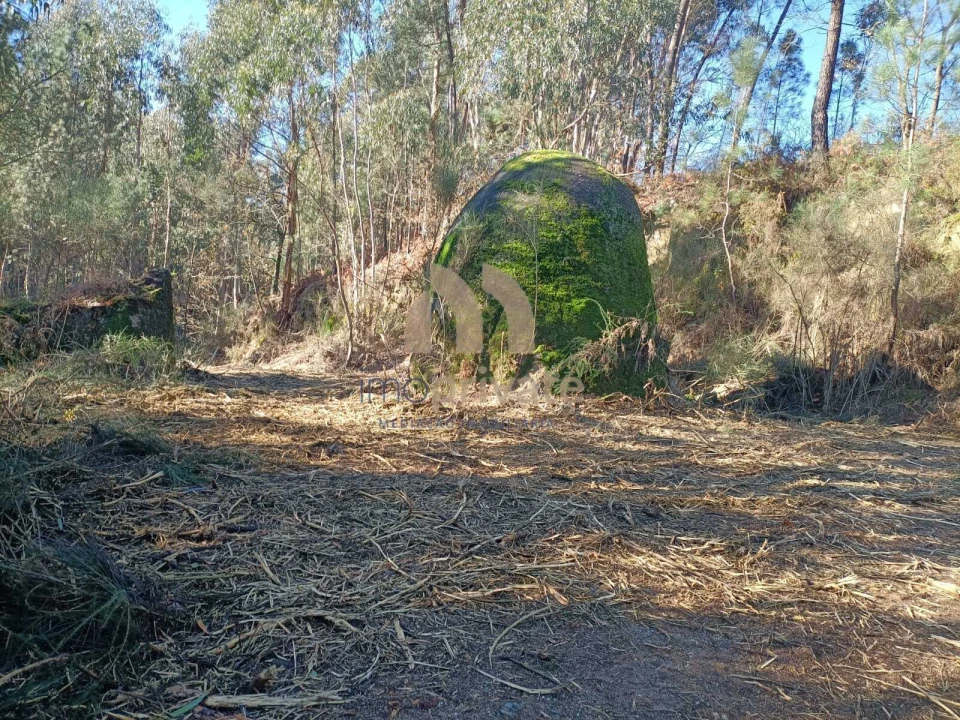 Terreno para Venda em Infantas Foto 10