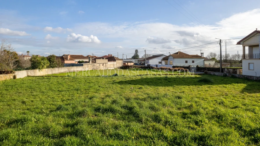 Terreno para Venda em Murtosa Foto 4