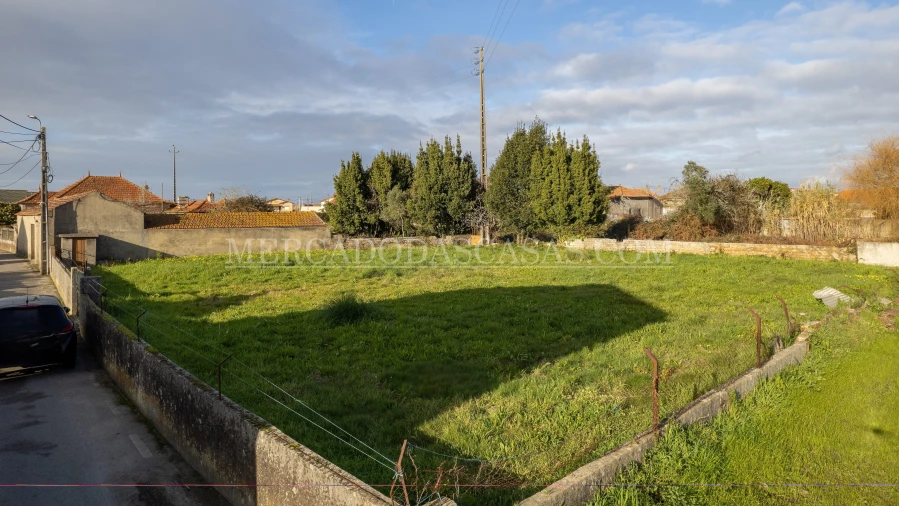 Terreno para Venda em Murtosa Foto 3
