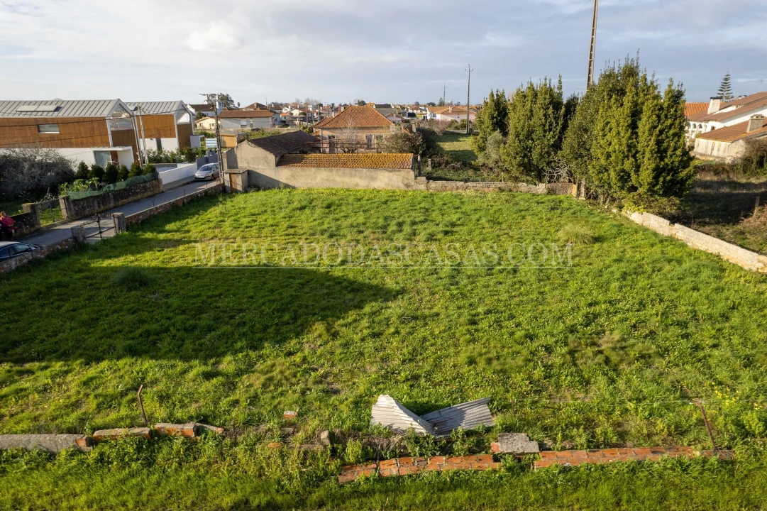 Terreno para Venda em Murtosa Foto 2
