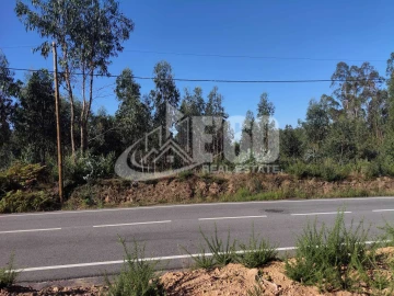 Terreno para Venda em São Miguel do Souto e Mosteirô