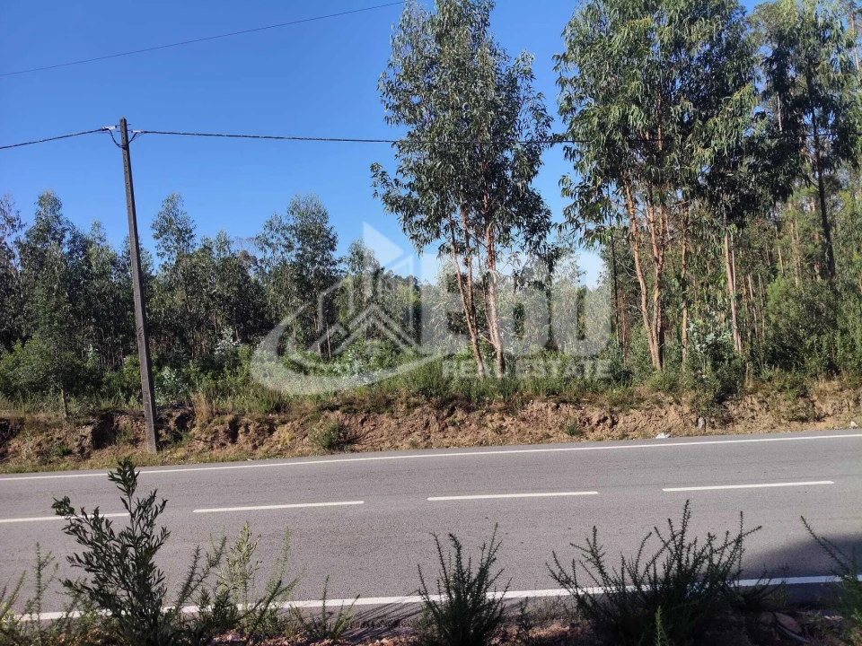 Terreno para Venda em São Miguel do Souto e Mosteirô Foto 6