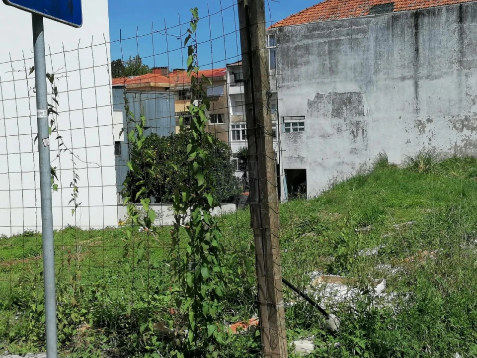 Apartamento para Venda em São Felix da Marinha Foto 6