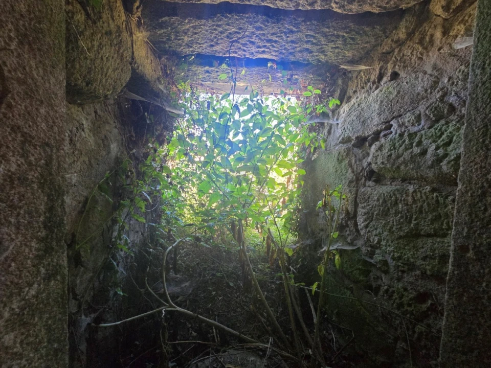 Quinta para Venda em Forjães Foto 18