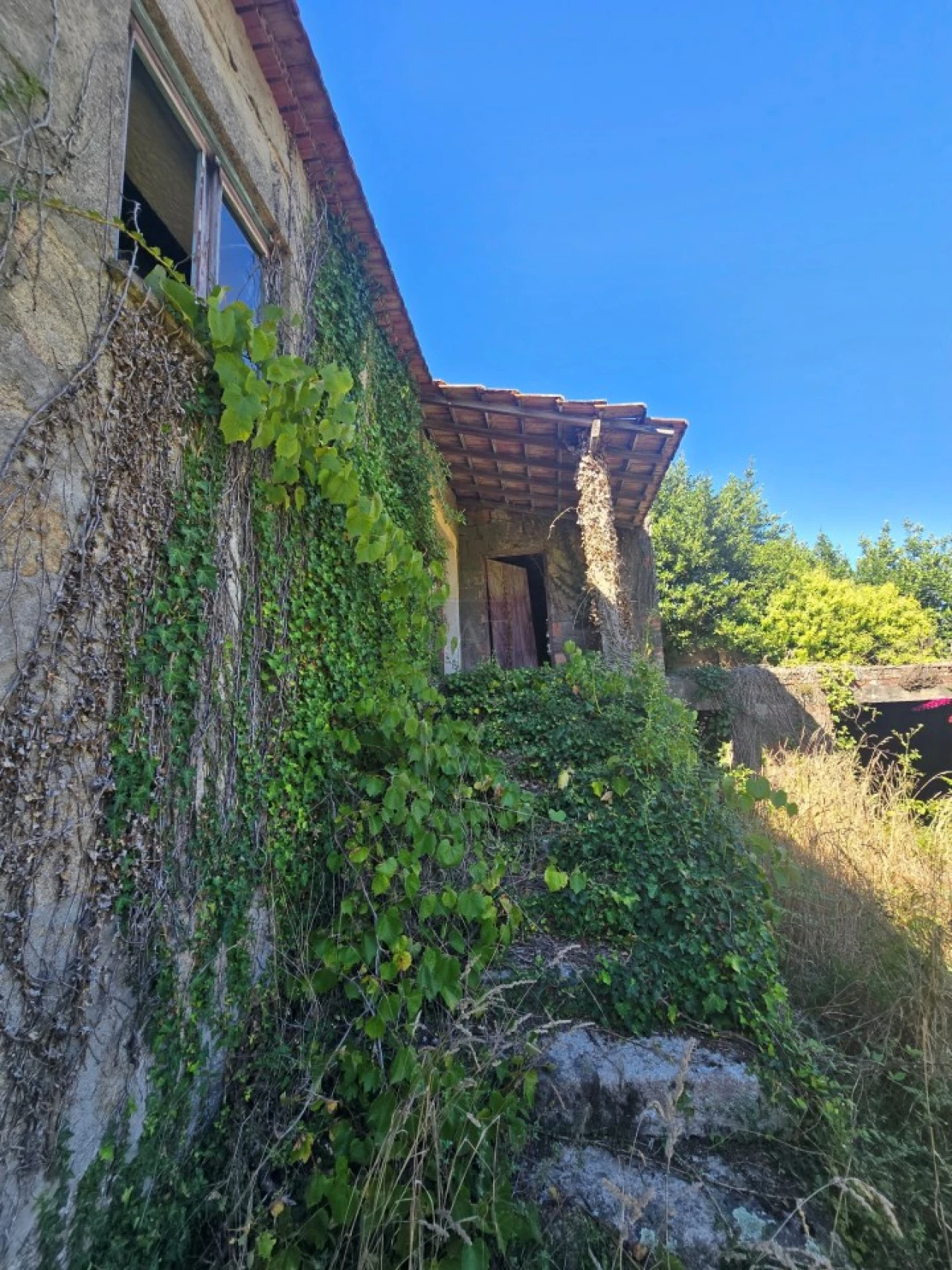 Quinta para Venda em Forjães Foto 23
