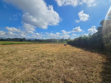 Quinta para Venda em Forjães