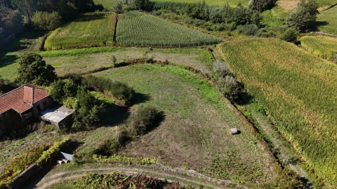 Quinta para Venda em Forjães