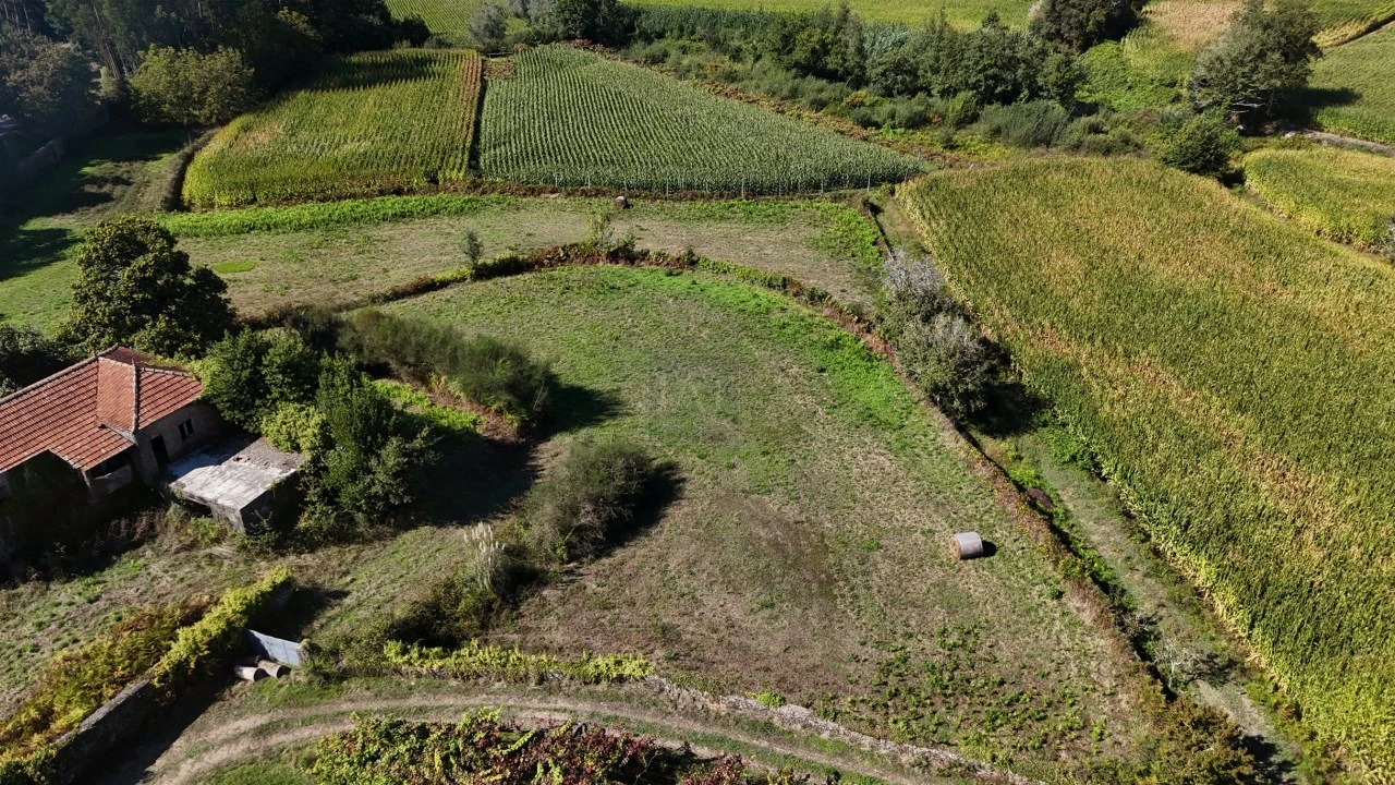 Moradia para Venda em Forjães Foto 6