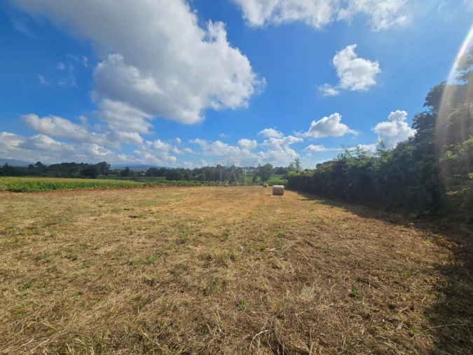 Moradia para Venda em Forjães Foto 5