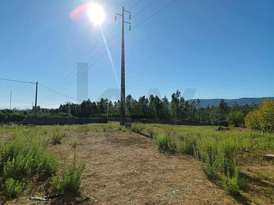 Armazém para Venda em Montes da Senhora Foto 6