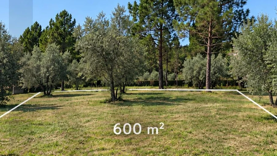 Terreno para Venda em Figueiro do Campo