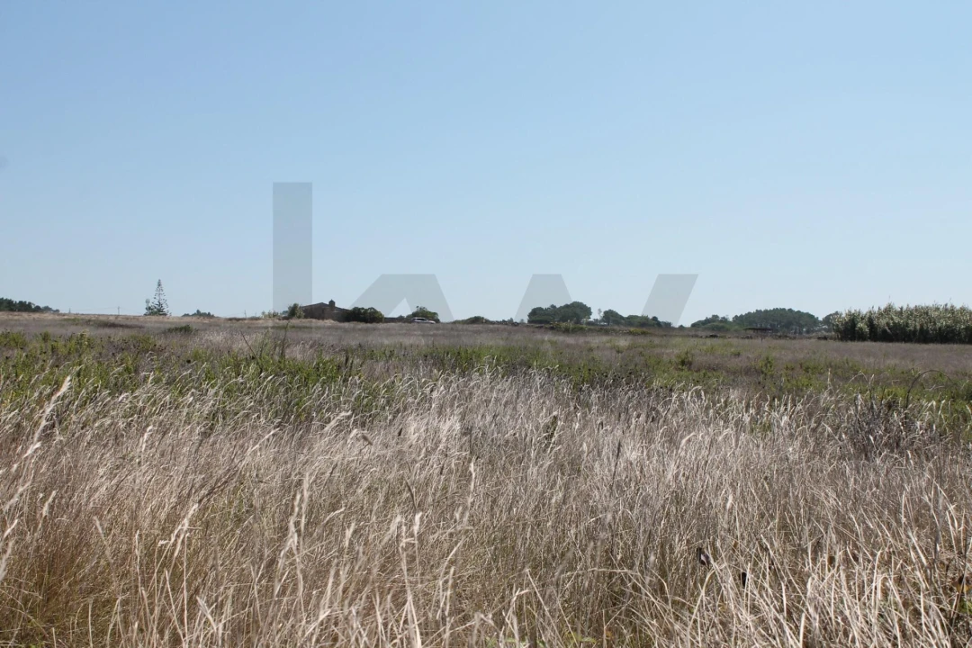 Terreno para Venda em São João das Lampas e Terrugem Foto 3