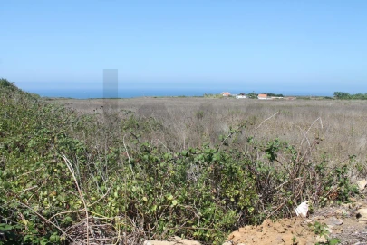 Terreno para Venda em São João das Lampas e Terrugem