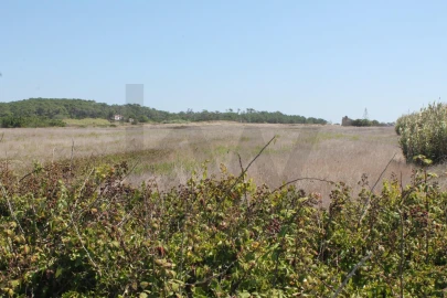 Terreno para Venda em São João das Lampas e Terrugem