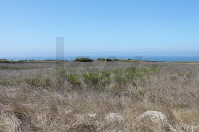 Terreno para Venda em São João das Lampas e Terrugem