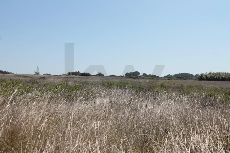 Terreno para Venda em São João das Lampas e Terrugem Foto 3