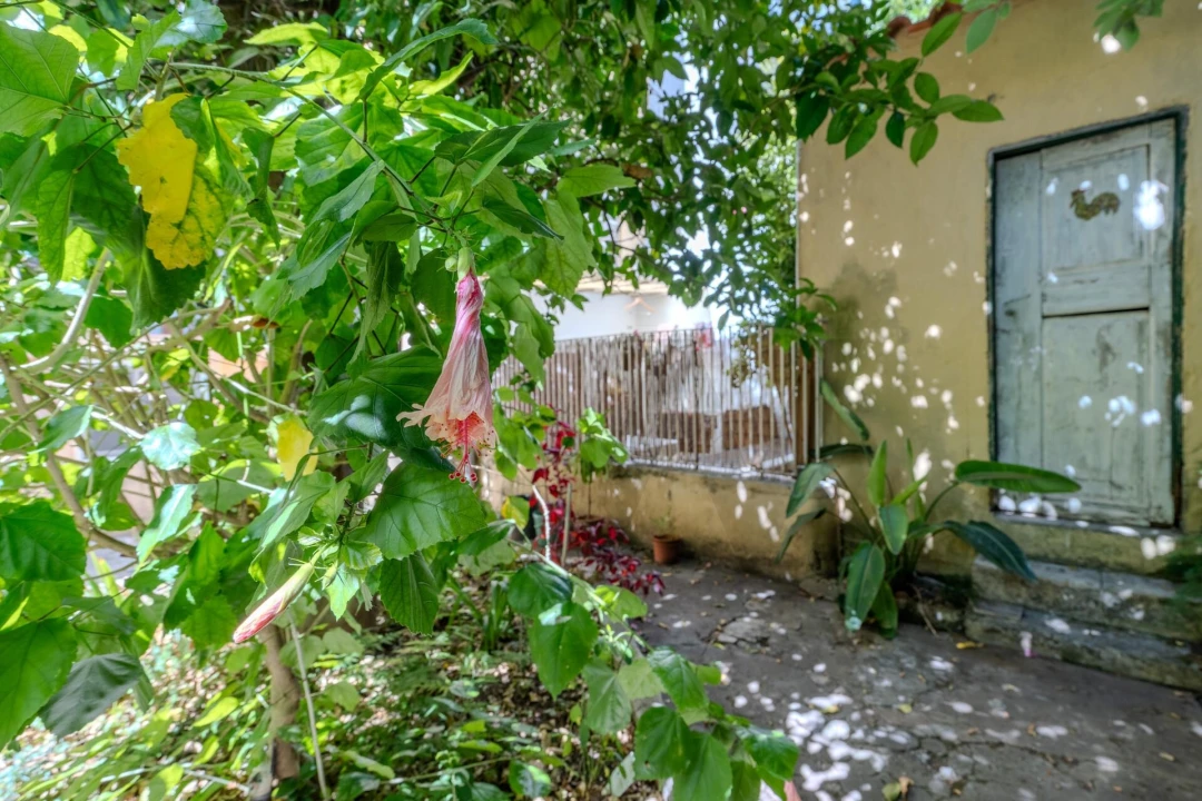 Apartamento T2 para Venda em Santo António Foto 31