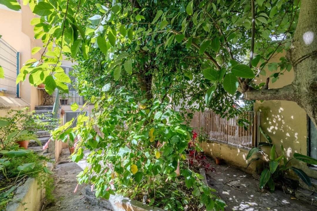 Apartamento T2 para Venda em Santo António Foto 33