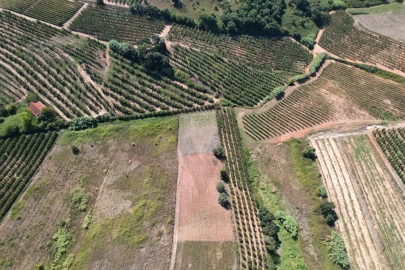 Moradia T3 para Venda em Painho e Figueiros
