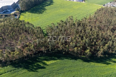 Terreno para Venda em Guilhabreu