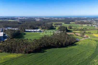 Terreno para Venda em Guilhabreu