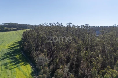 Terreno para Venda em Guilhabreu