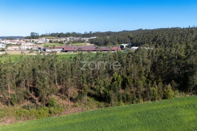 Terreno para Venda em Guilhabreu