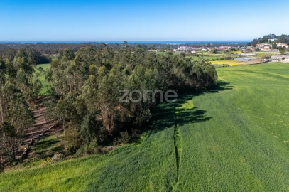 Terreno para Venda em Guilhabreu