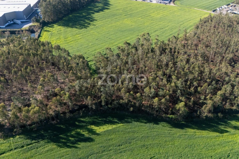Terreno para Venda em Guilhabreu Foto 2