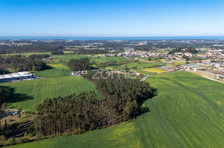 Terreno para Venda em Guilhabreu Foto 6