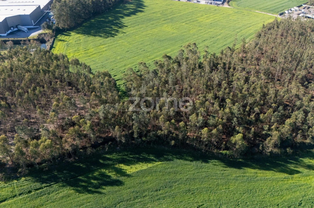 Terreno para Venda em Guilhabreu Foto 2