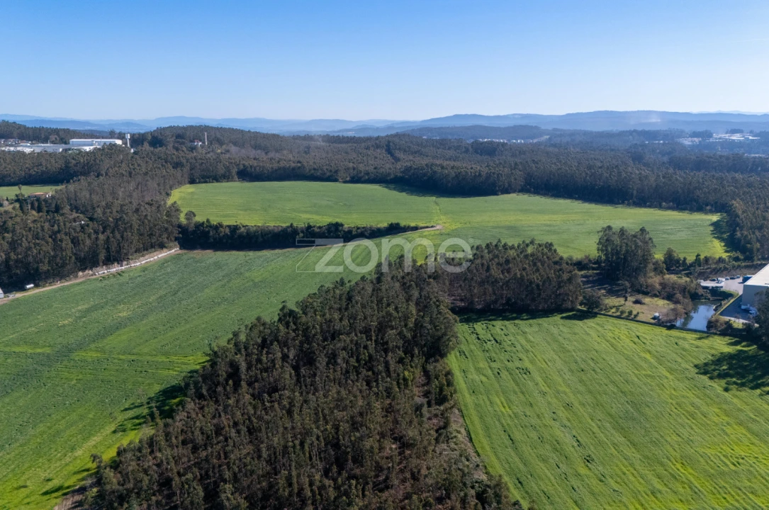 Terreno para Venda em Guilhabreu Foto 3
