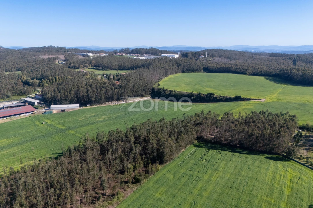 Terreno para Venda em Guilhabreu Foto 4