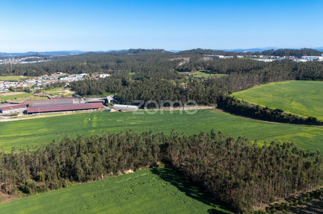 Terreno para Venda em Guilhabreu Foto 5