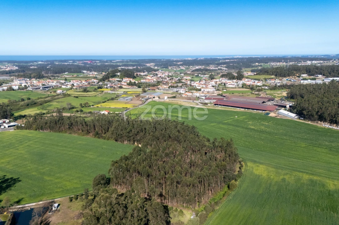 Terreno para Venda em Guilhabreu Foto 1