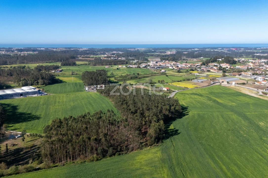 Terreno para Venda em Guilhabreu Foto 6