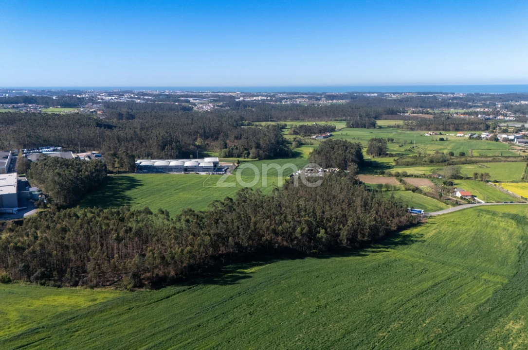 Terreno para Venda em Guilhabreu Foto 7