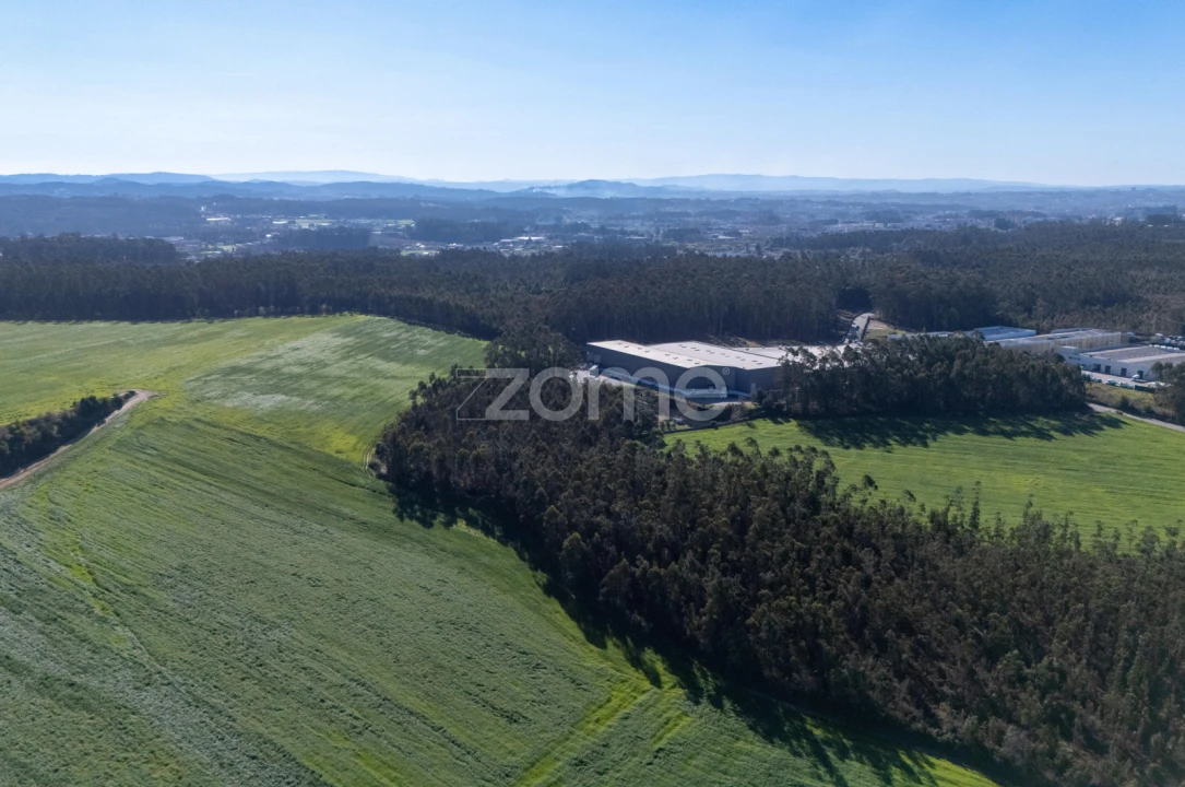 Terreno para Venda em Guilhabreu Foto 9
