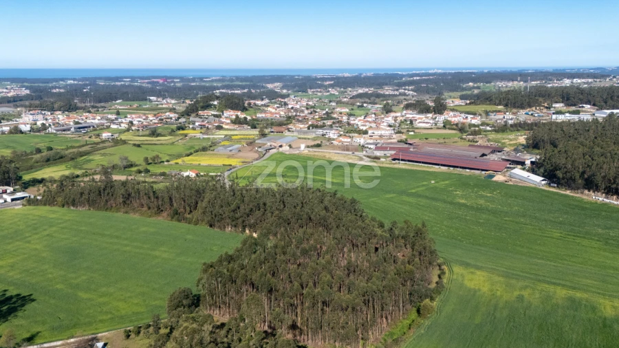 Terreno para Venda em Guilhabreu