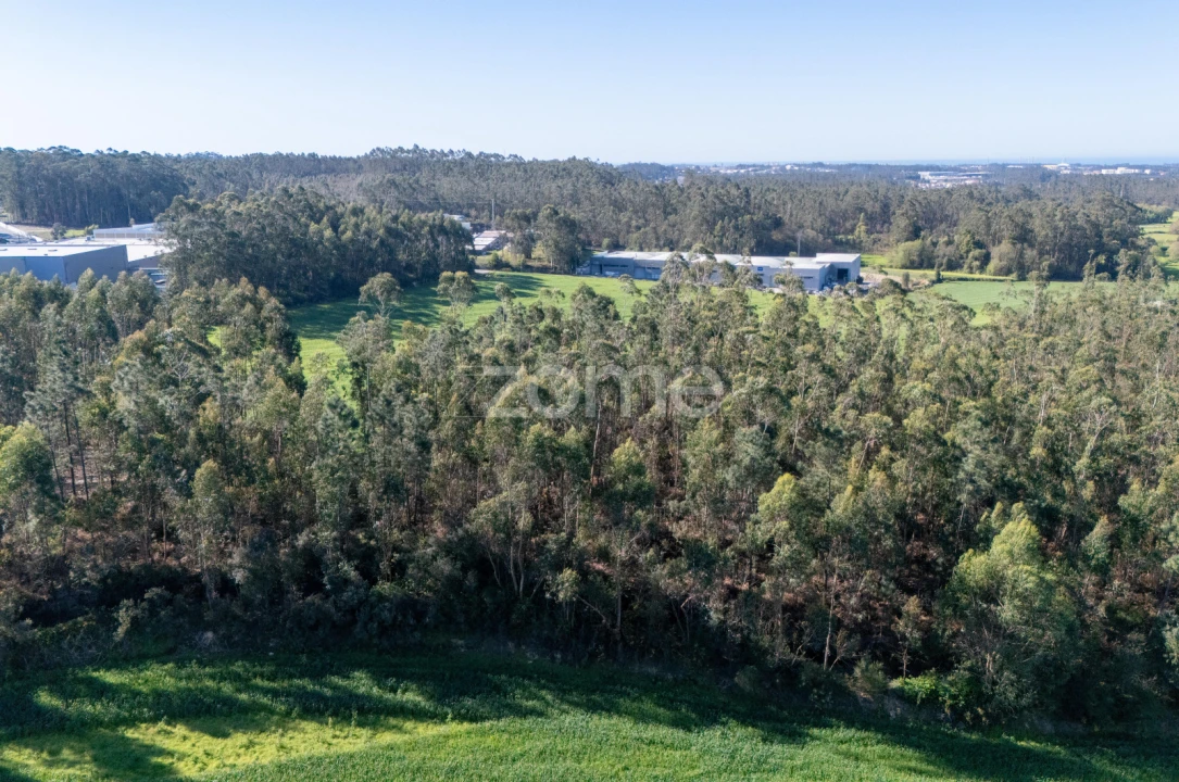 Terreno para Venda em Guilhabreu Foto 10
